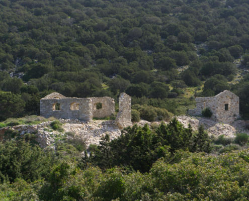 Διαγωνισμός φωτογραφίας